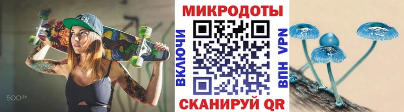 Псилоцибиновые грибы Psilocybe  Новотитаровская 